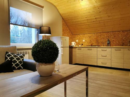 Apartamento O?rodek Volfcamp Kwaszenina