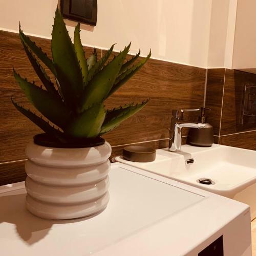 Ada Beach House Mit Wasserzugang Neu!