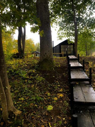 Ragnar Glamp Koknese