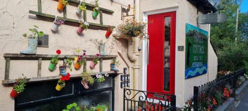 Hostal Holly Cottages