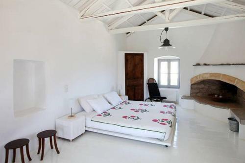 Luxurious Residence In Village