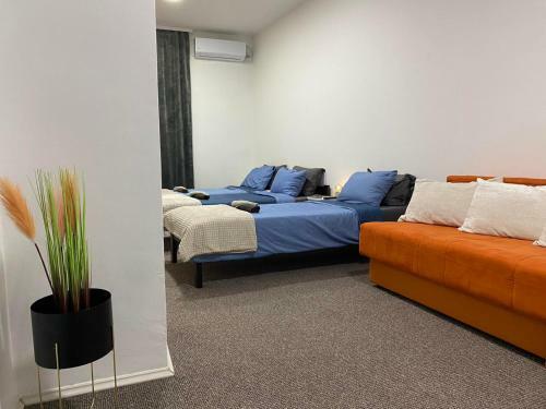 Stari Zaje?ar Apartments