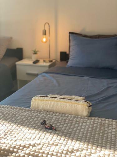 Stari Zaje?ar Apartments