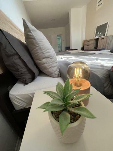 Stari Zaje?ar Apartments