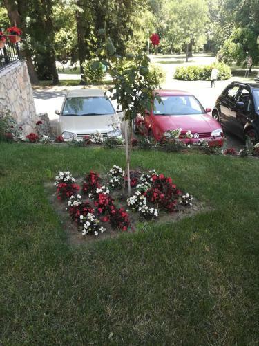 Apartman 2m Lux