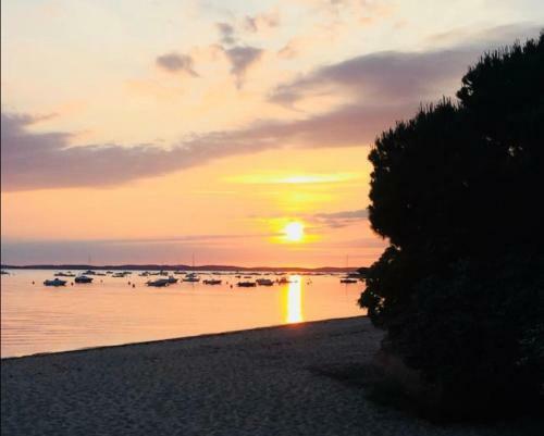 Ma Maison Sur Le Bassin