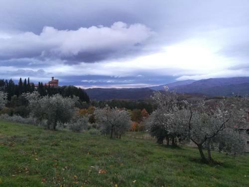 Agroturismo Castello Di Valenzano