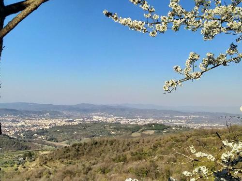 Villa Podere Fusai