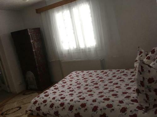 Hostal Vila Firuta Borsa