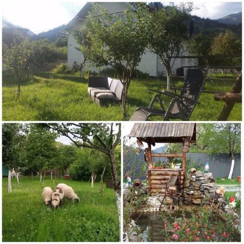 Hostal Vila Firuta Borsa