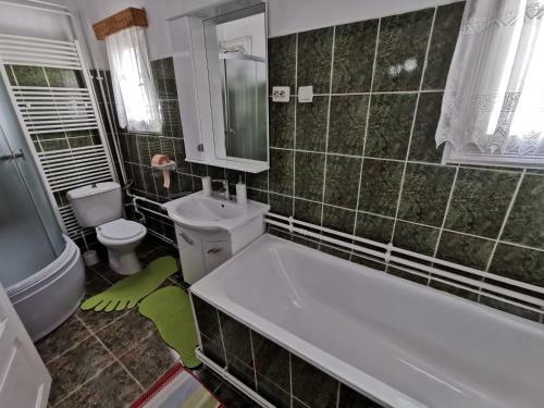 Hostal Vila Firuta Borsa