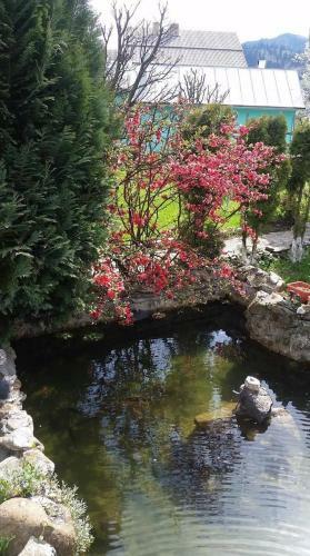 Hostal Vila Firuta Borsa
