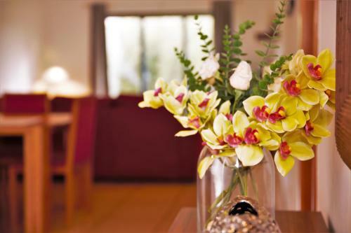 Apartamento C002
