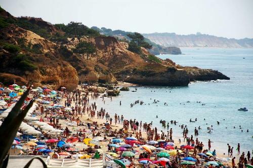 Villa Magn�fica Moradia Em Condom�nio Fechado