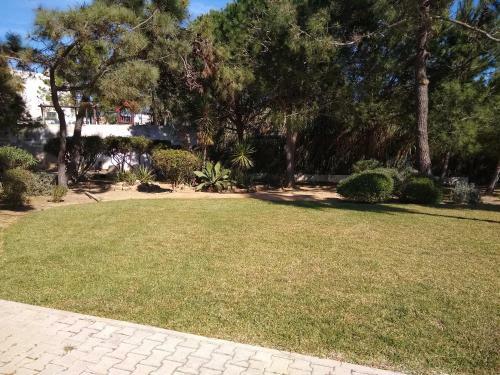 Yara Beach Apartments - Albufeira