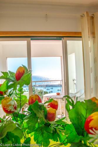Apartamento Apt Baleeira Sol