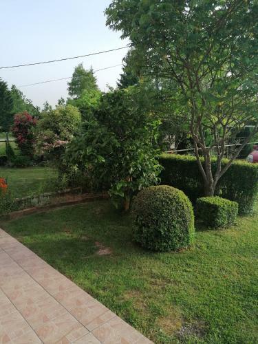 Apartman Ris Gorski Kotar Crni Lug