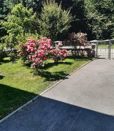 Apartamento Gorski Cvijet