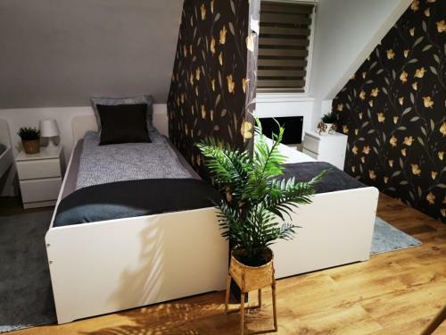 Apartamento Pintes 38 A