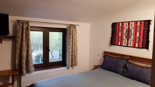 Hostal Pensiunea Turistica Valea Mierii