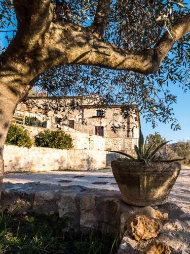 Agroturismo Il Becco Felice
