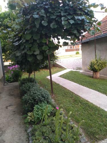 Apartamento Mala Tara