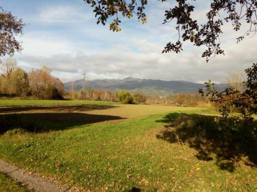 Apartamento Appartamento In Toscana Con Piscina E Giardino