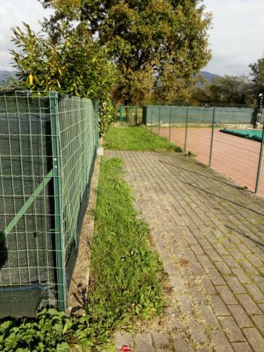 Apartamento Appartamento In Toscana Con Piscina E Giardino