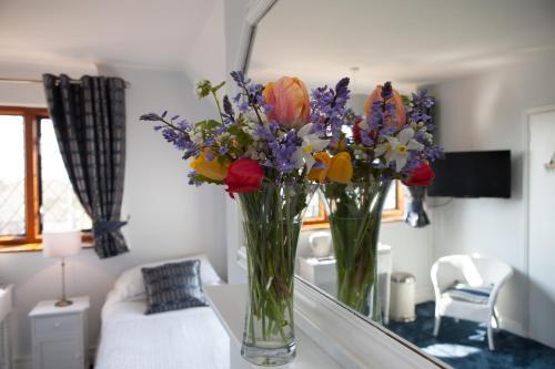 Bed & Breakfast Fern Lodge