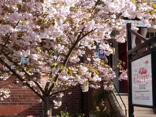 Hostal The Cherry Tree Guest House