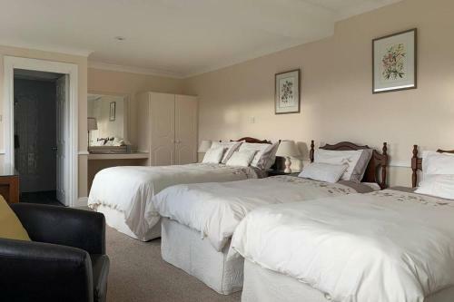 Spacious Seaside Apartment 3km From Clifden