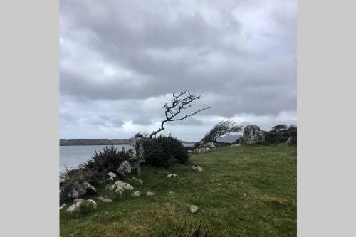 Spacious Seaside Apartment 3km From Clifden