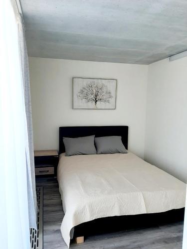 Smeltale Apartament 3