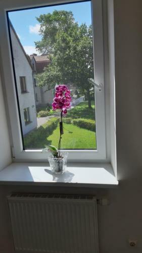 Hostal Guest House Gero V?jo Namai