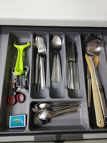 Apartment Orion