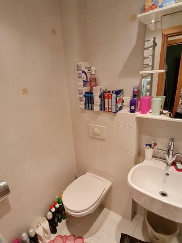Apartamento Puikus 2k. Butas ?alia Dan?s Up?s Klaip?doje