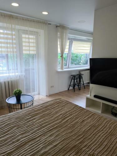 Old Town Vytautas Apartment
