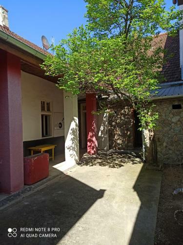 Hostal Micro Maxi House
