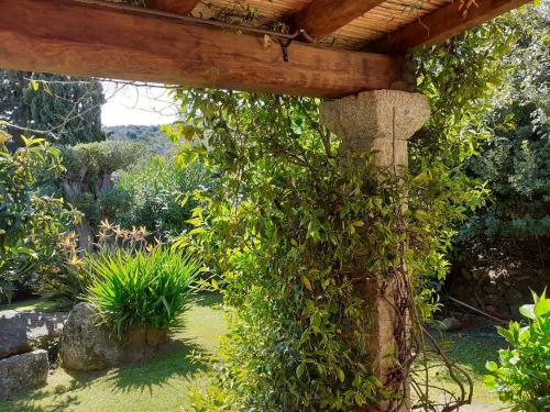Apartamento Stazzzu Solianu