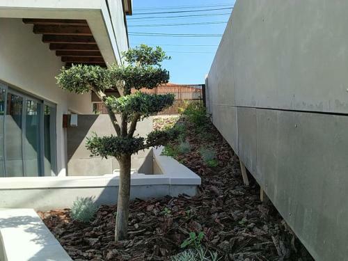 Bed & Breakfast Albergaria Da Tom�sia