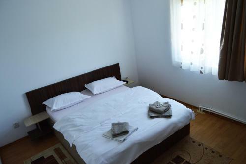 Hostal Pensiunea Zelezneac