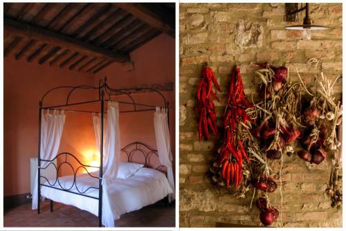 The Lazy Olive Villa - Podere Finerri