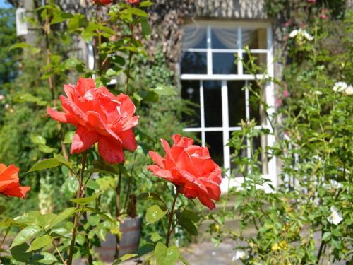 Powis House B&B
