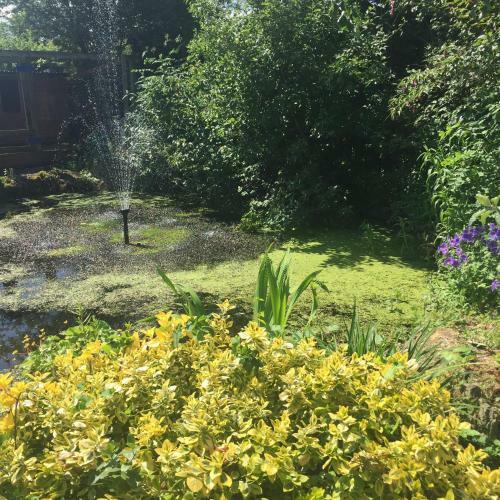 Bed & Breakfast Watergardens