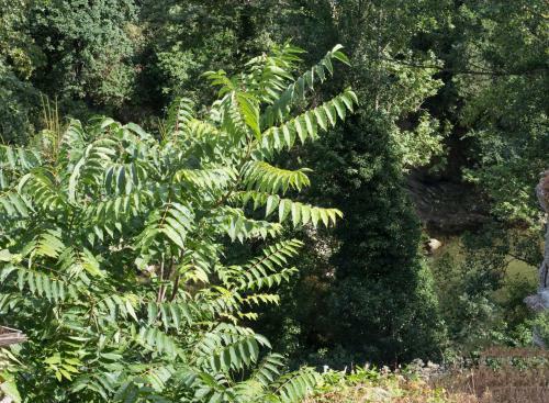 Apartamento Il Nido Del Picchio