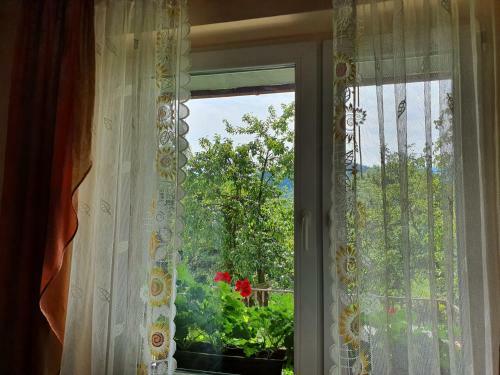 Apartamenty Straconka ,bielsko-biala