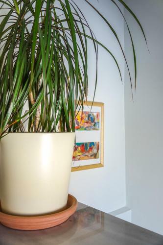 Apartamento Skyview Penthouse / Central Athens