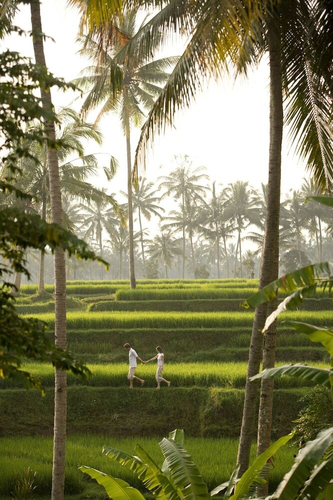 Hotel Kamandalu Resort & Spa