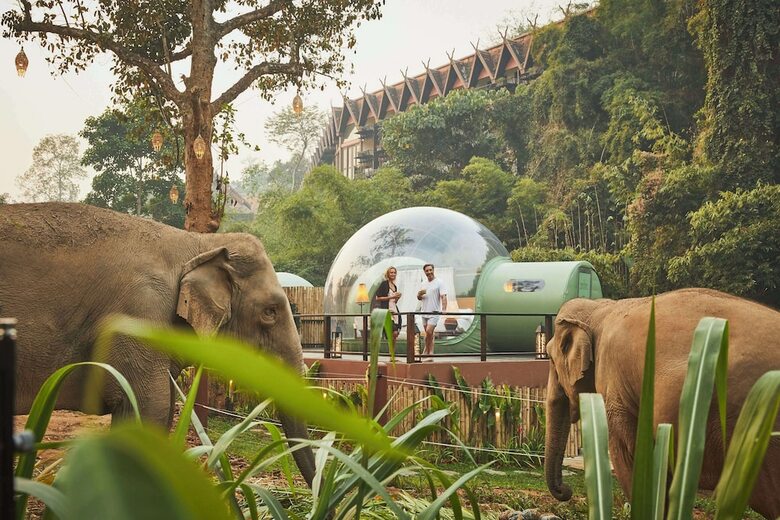 Hotel Anantara Golden Triangle Resort  Spa
