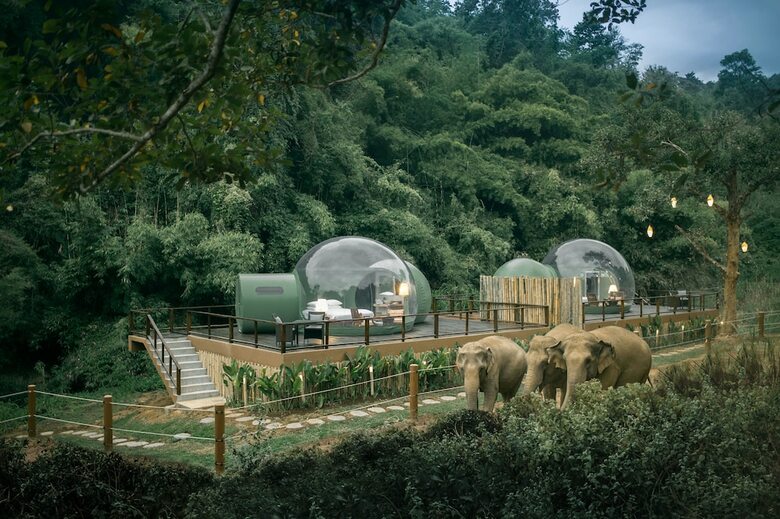 Hotel Anantara Golden Triangle Resort  Spa